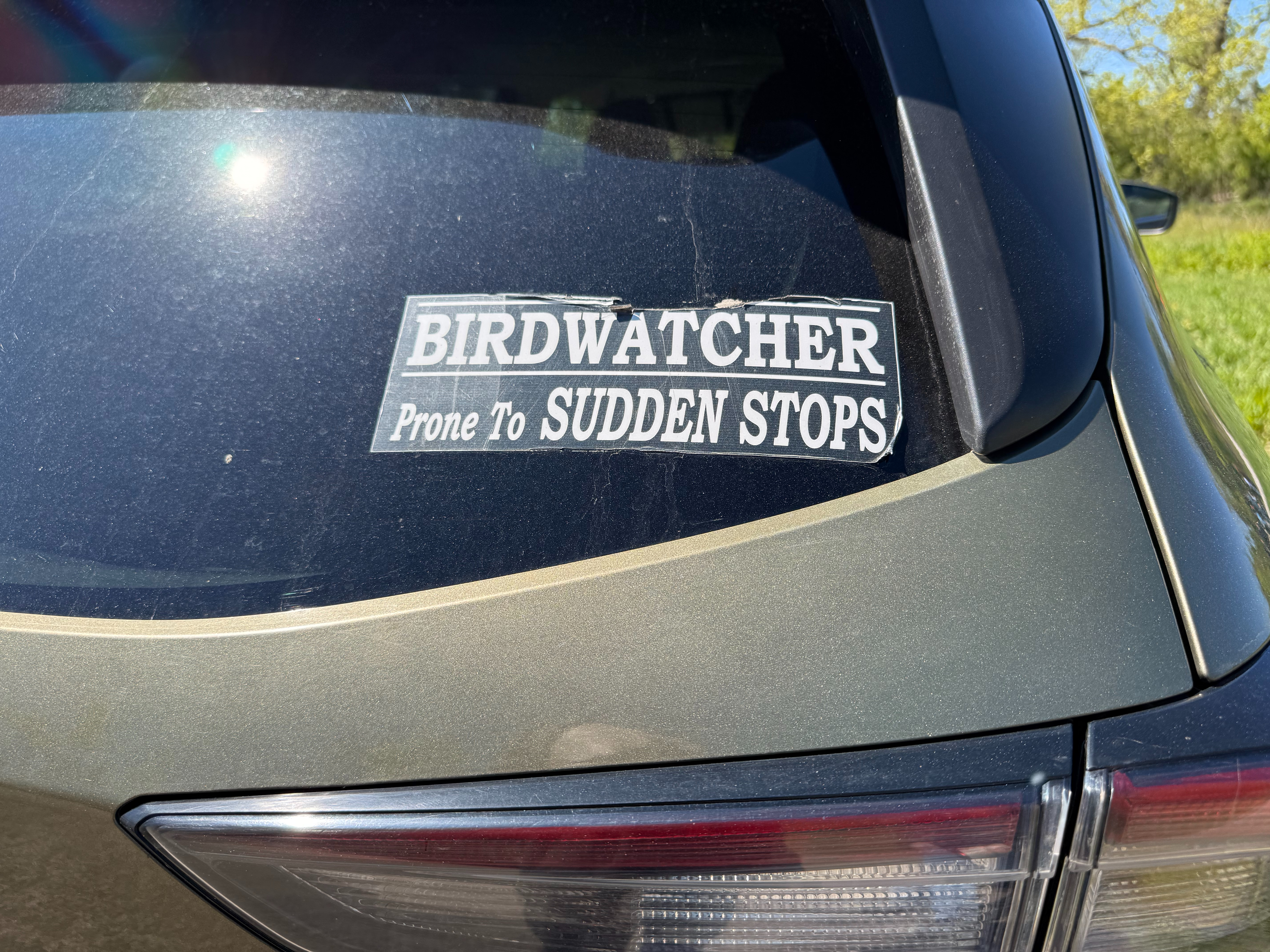 Biggest Week in American Birding 2026